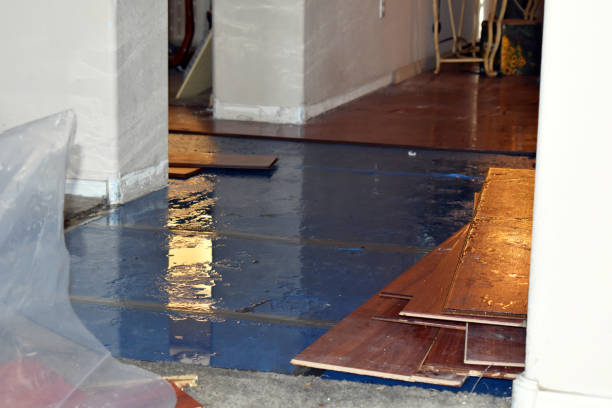 Professional Sewage Cleanup technician working in Victor, CA